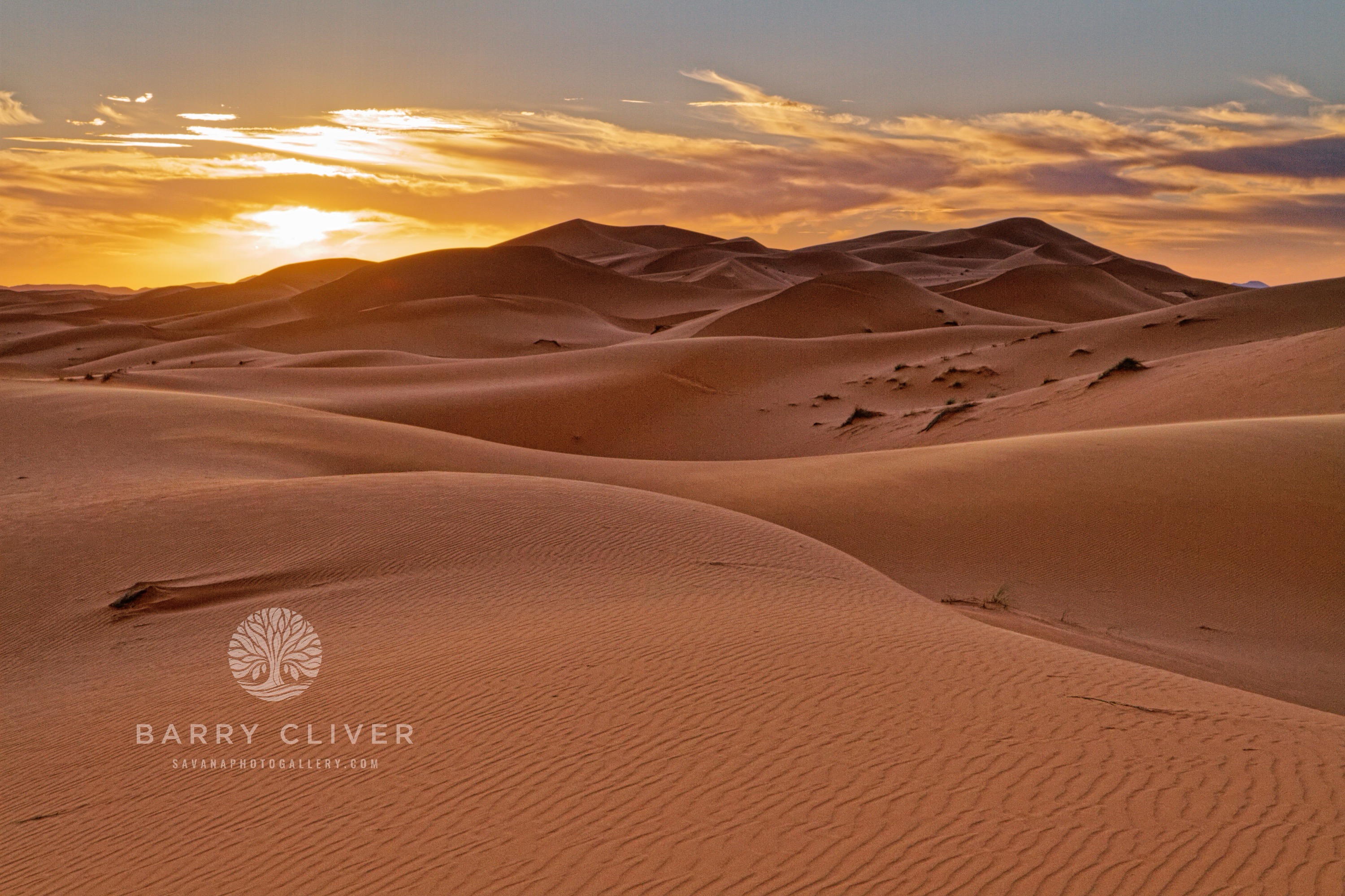 Sahara Sunrise